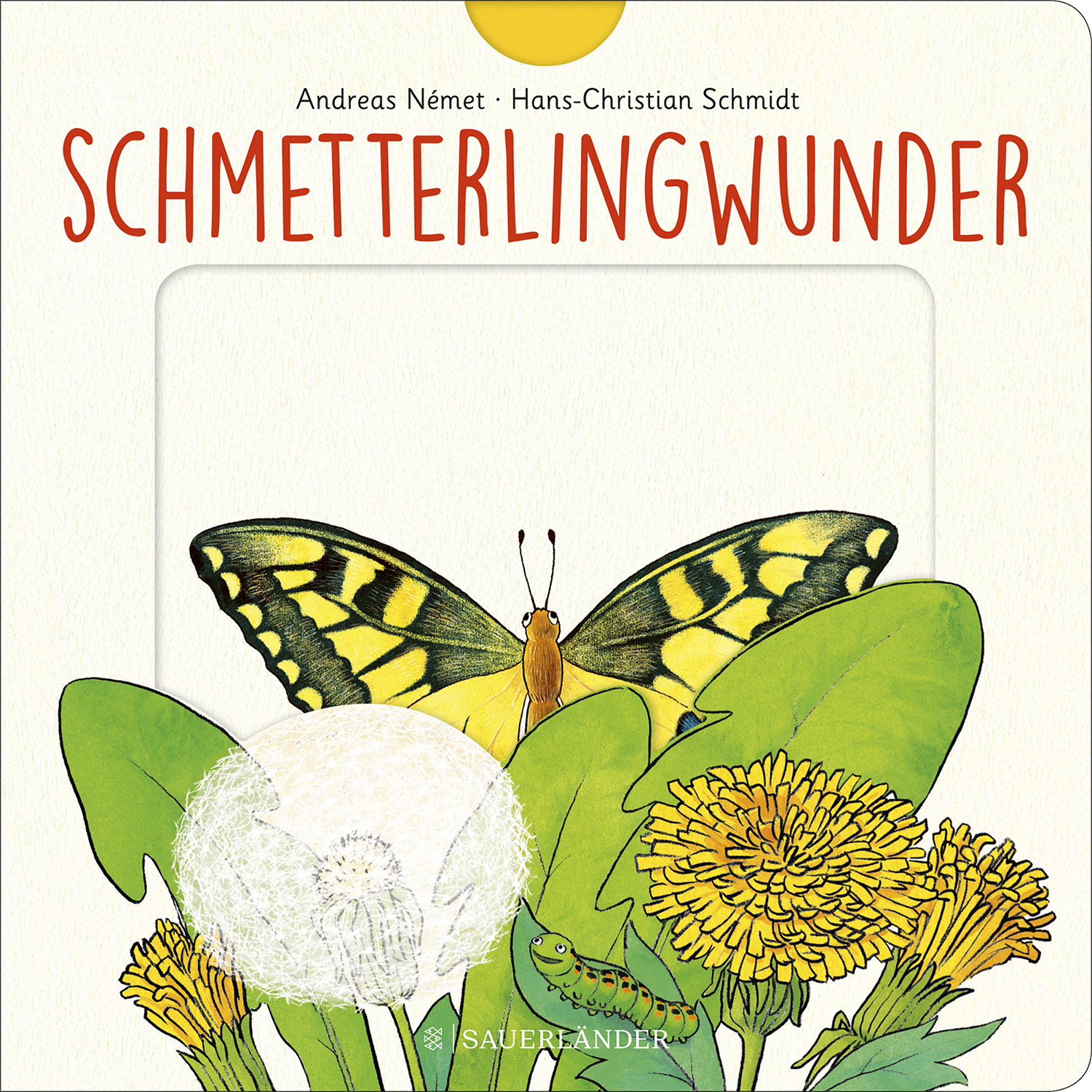 Schmetterlingwunder Schmetterlingwunder