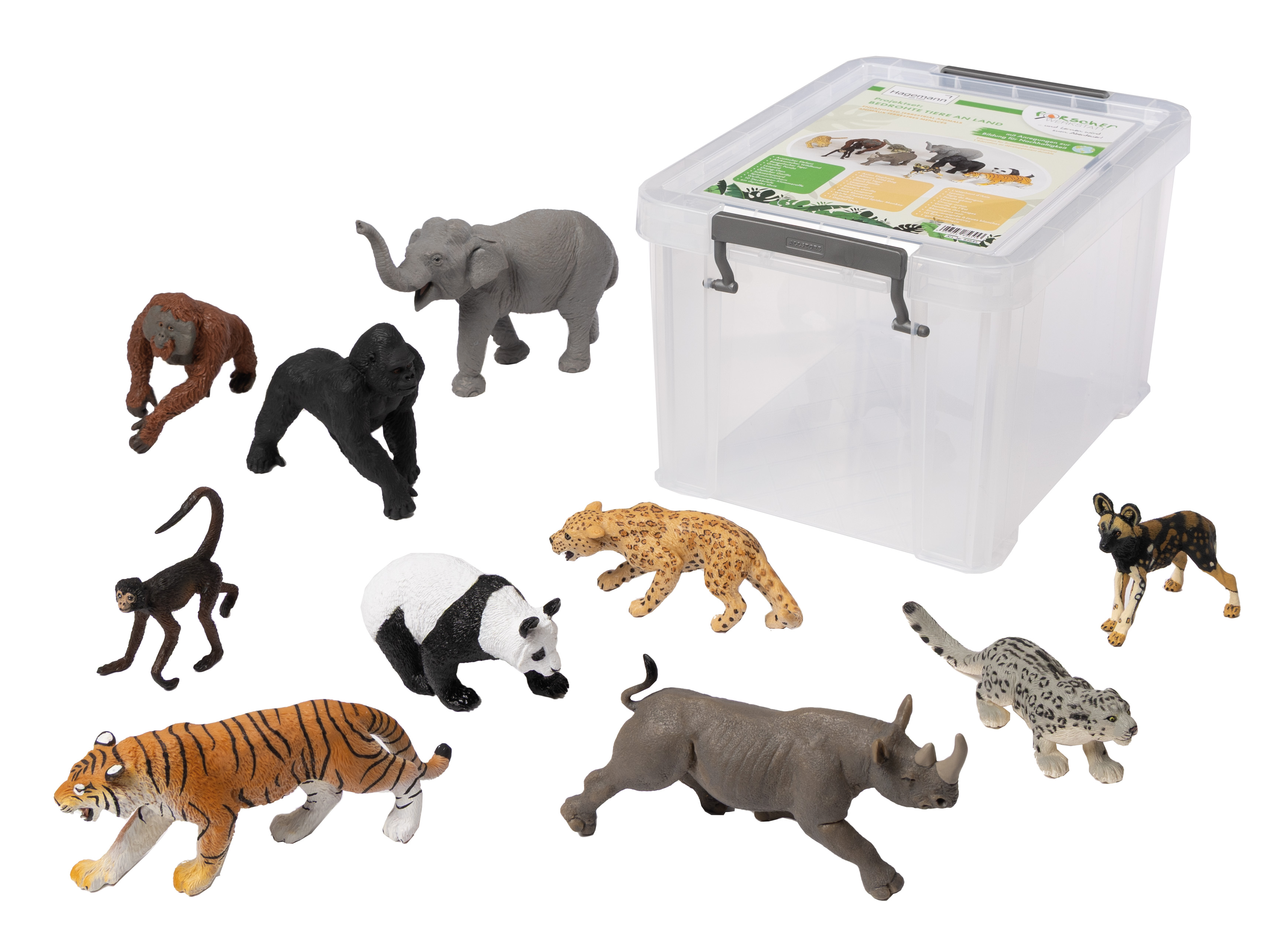 Projektset: Bedrohte Tiere an Land Projektset: Bedrohte Tiere an Land