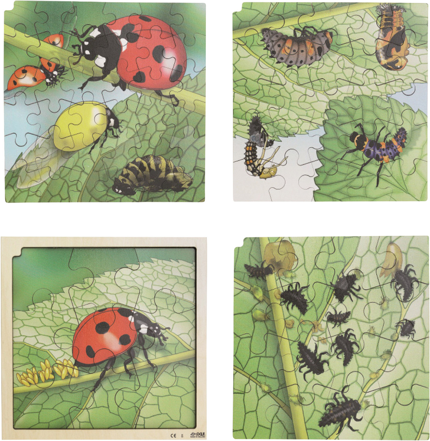 Lagenpuzzle Marienkäfer