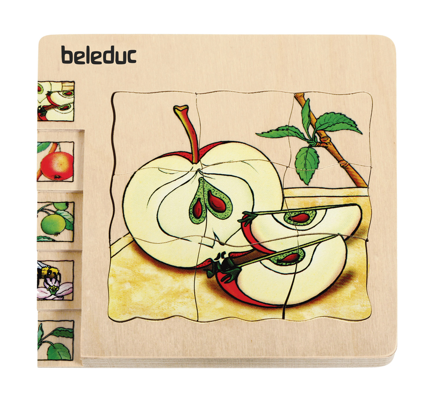Lagenpuzzle Apfel
