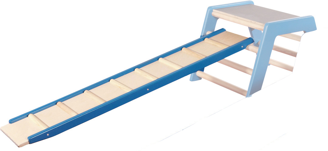 Turnsystem Hühnerleiter