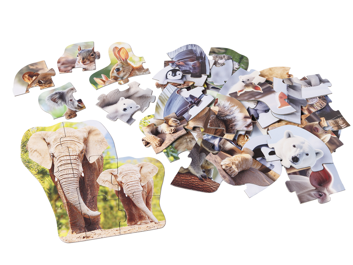 Maxi Puzzle - Tiere und ihre Babys Maxi Puzzle - Tiere und ihre Babys