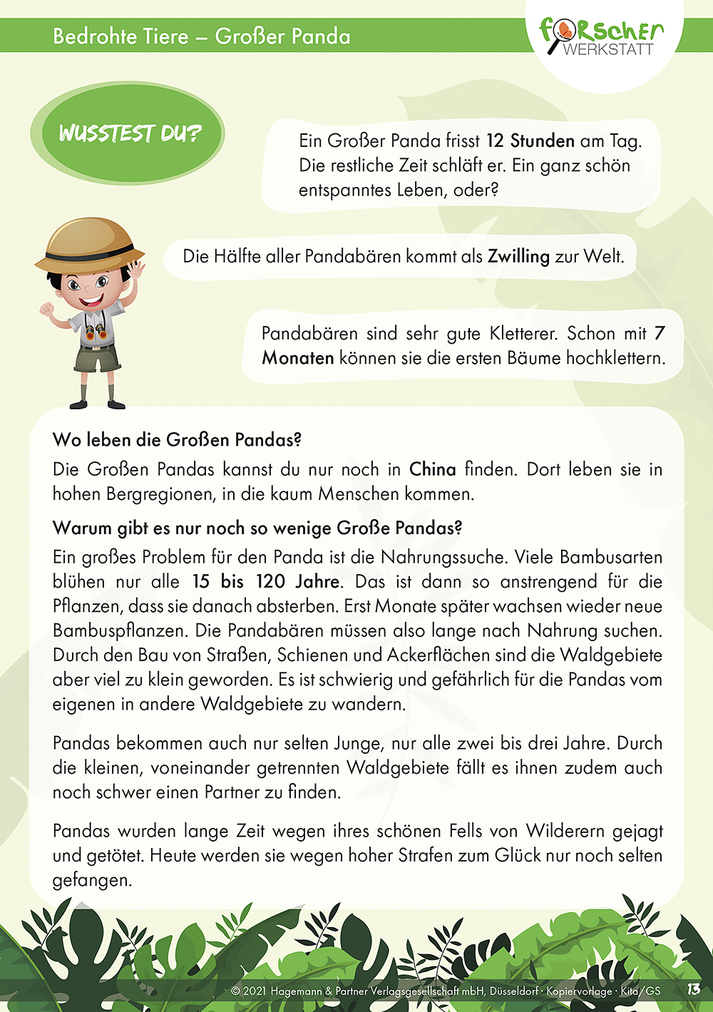 Projektset: Bedrohte Tiere an Land Projektset: Bedrohte Tiere an Land