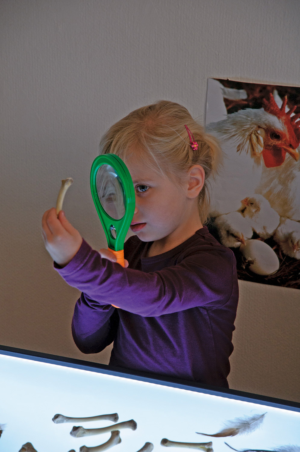 Leuchttisch Großer Leuchttisch