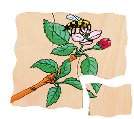Lagenpuzzle Apfel