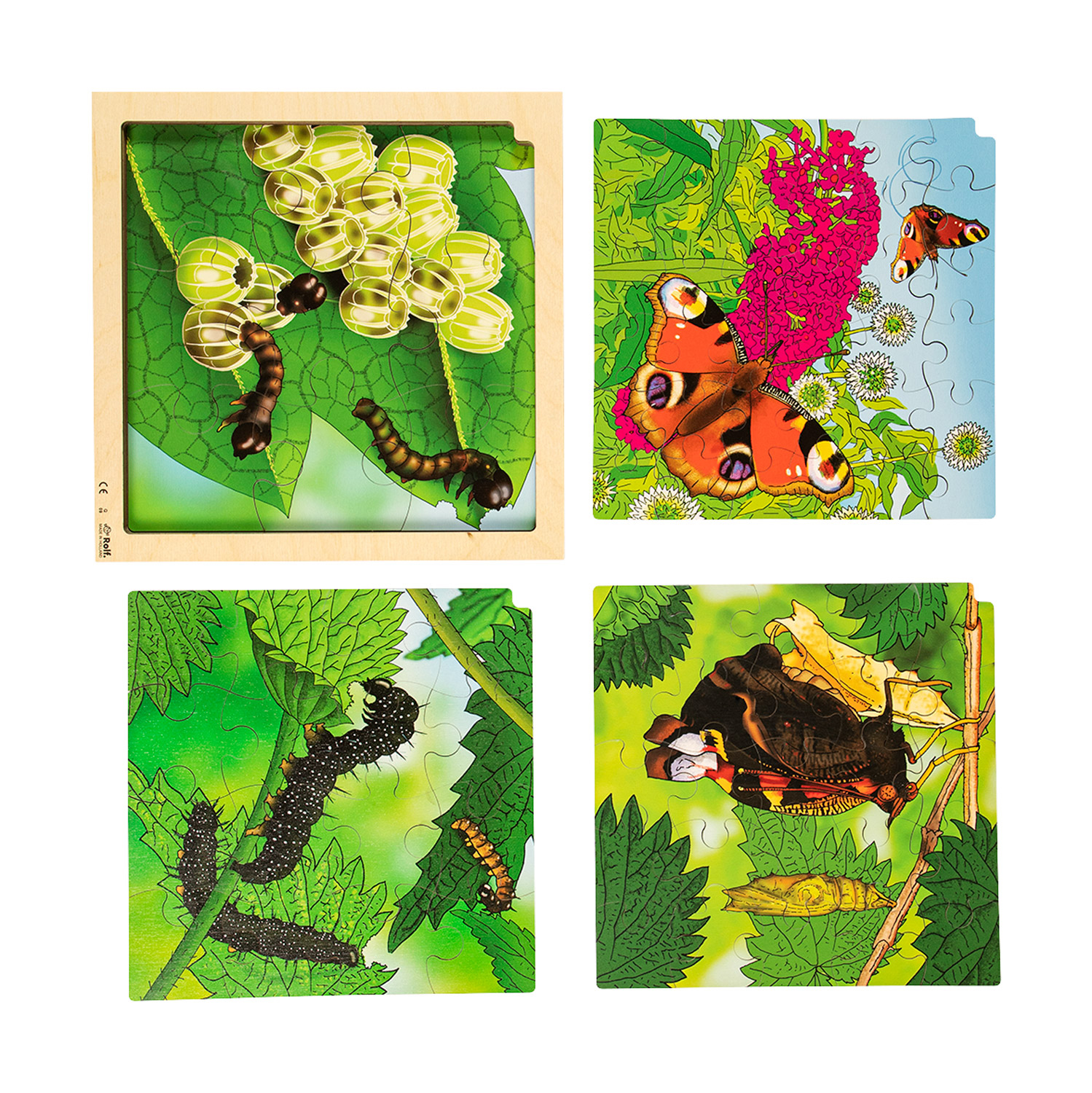 Lagenpuzzle Schmetterling