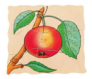 Lagenpuzzle Apfel