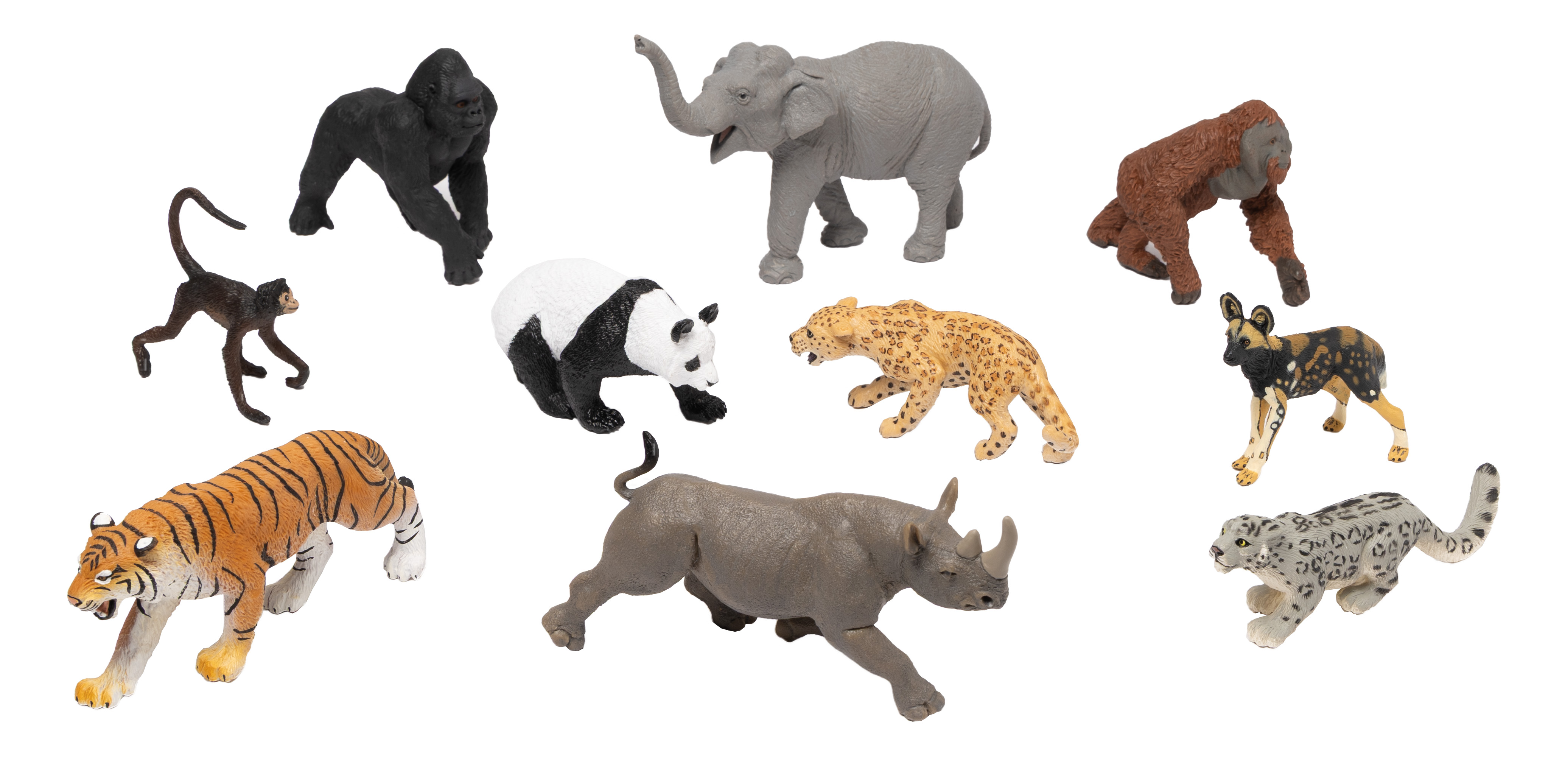 Projektset: Bedrohte Tiere an Land Projektset: Bedrohte Tiere an Land