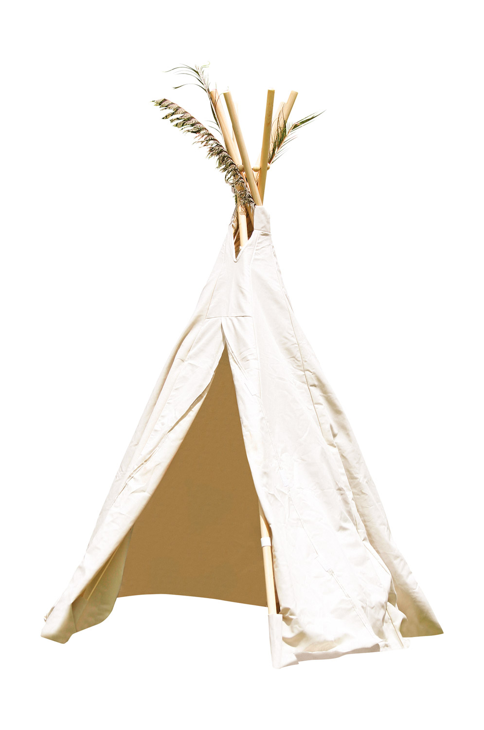 Tipi