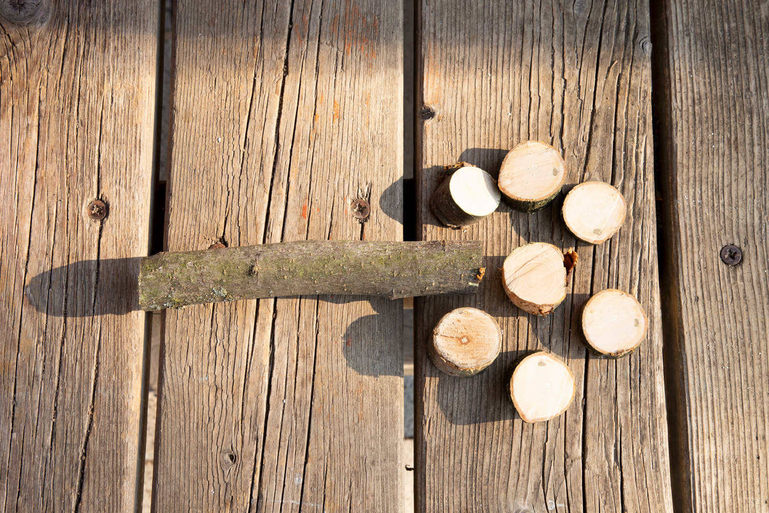 Dusy Werkbank Dusy Werkbank