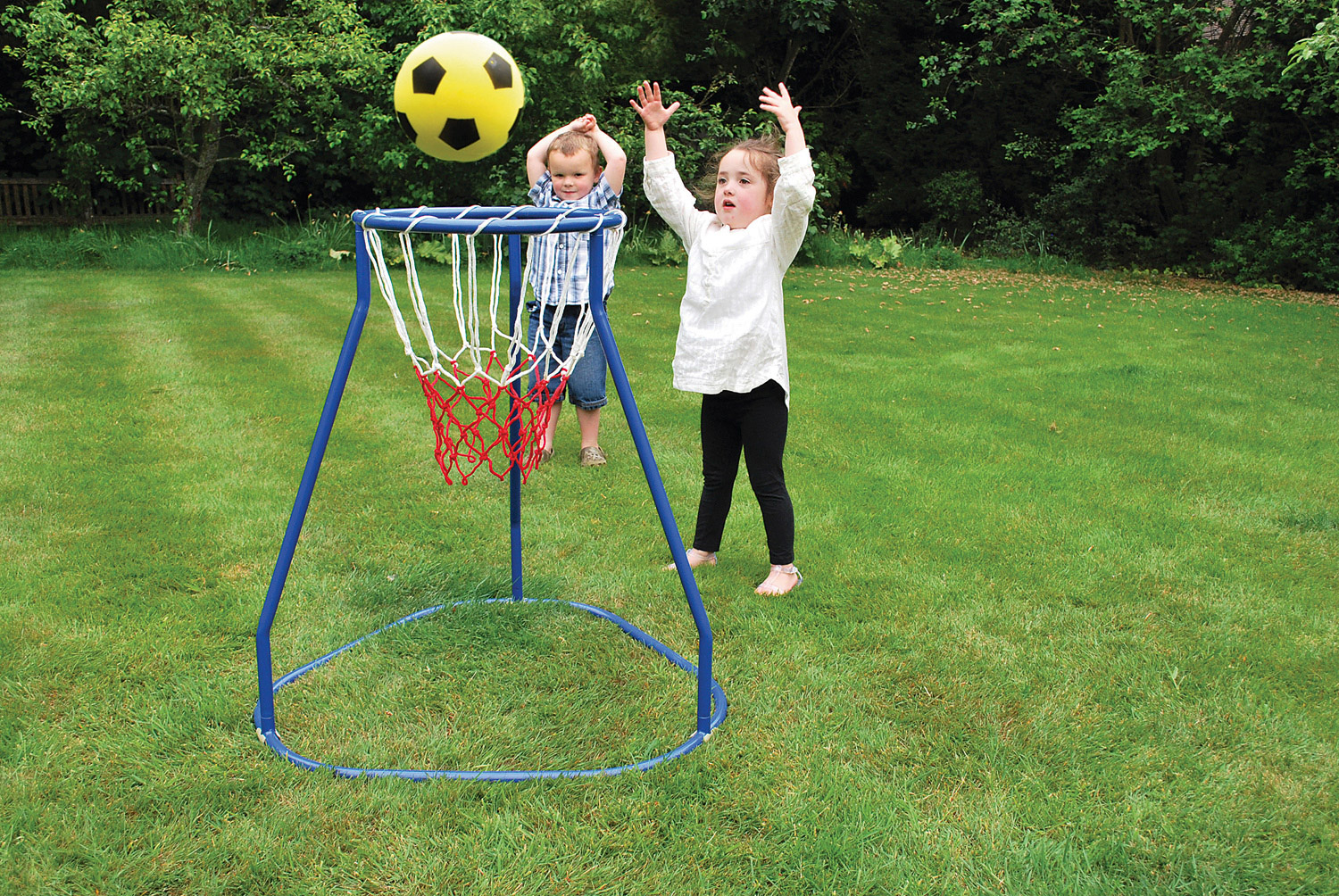 Basketballständer