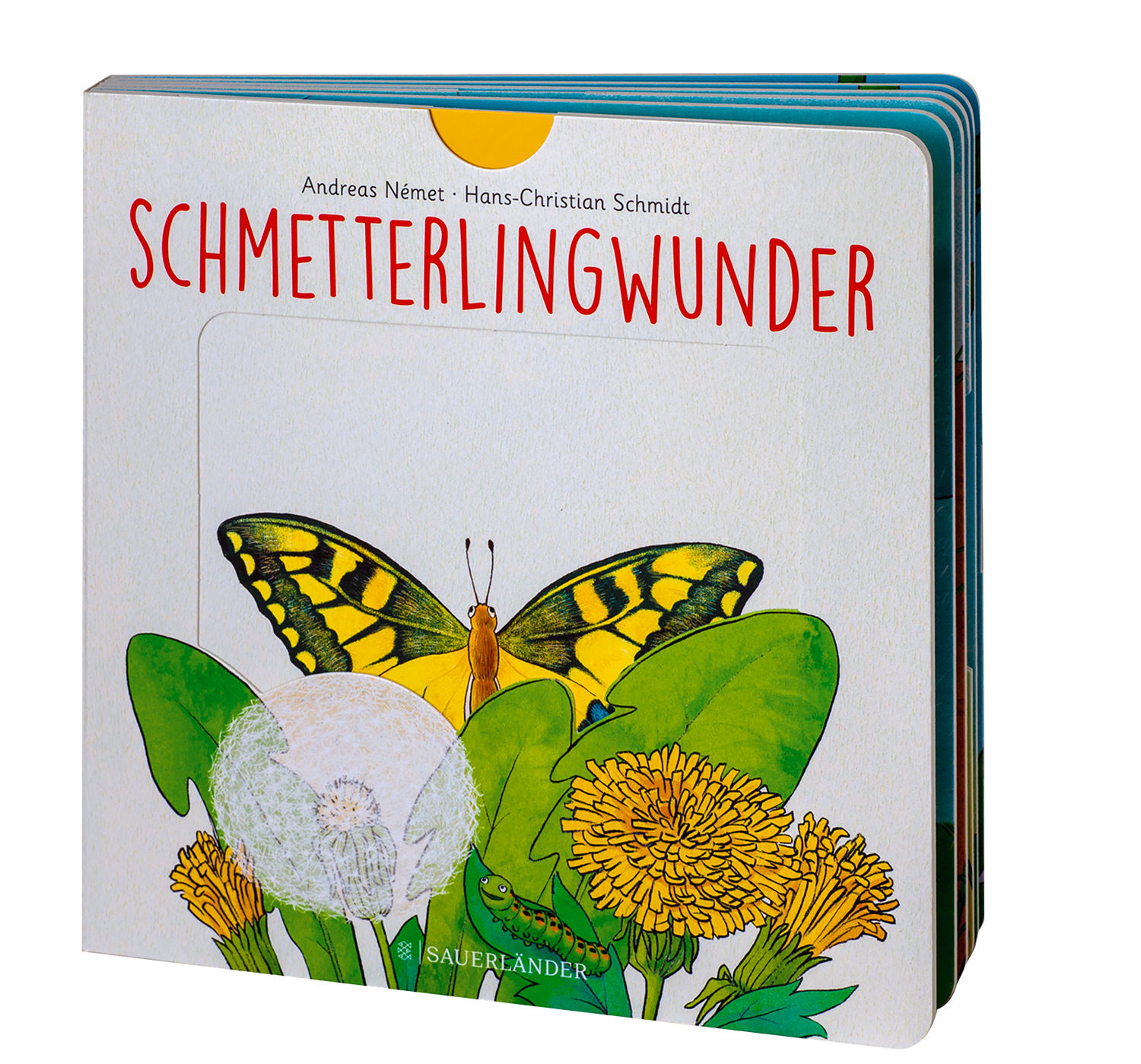 Schmetterlingwunder Schmetterlingwunder