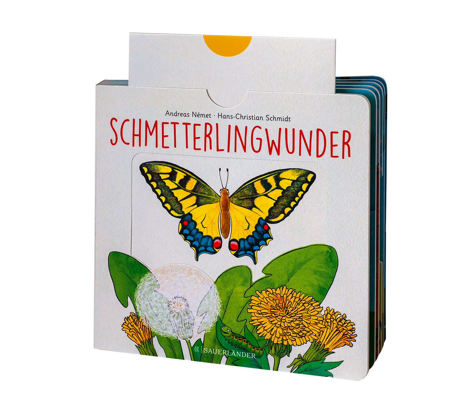Schmetterlingwunder Schmetterlingwunder