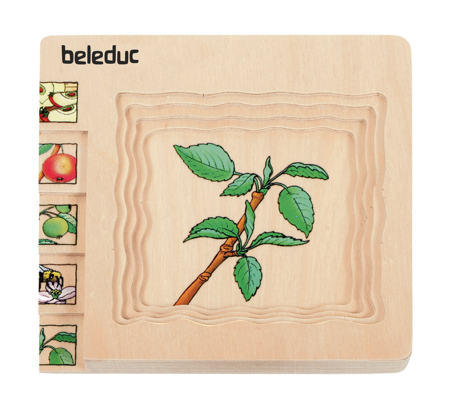 Lagenpuzzle Apfel