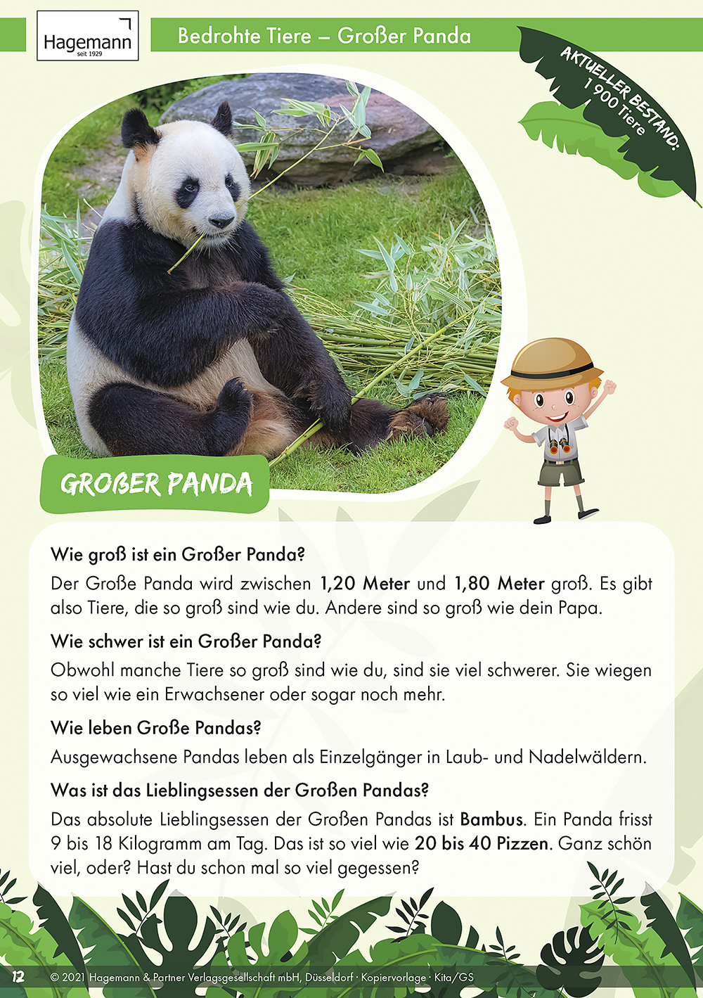 Projektset: Bedrohte Tiere an Land Projektset: Bedrohte Tiere an Land