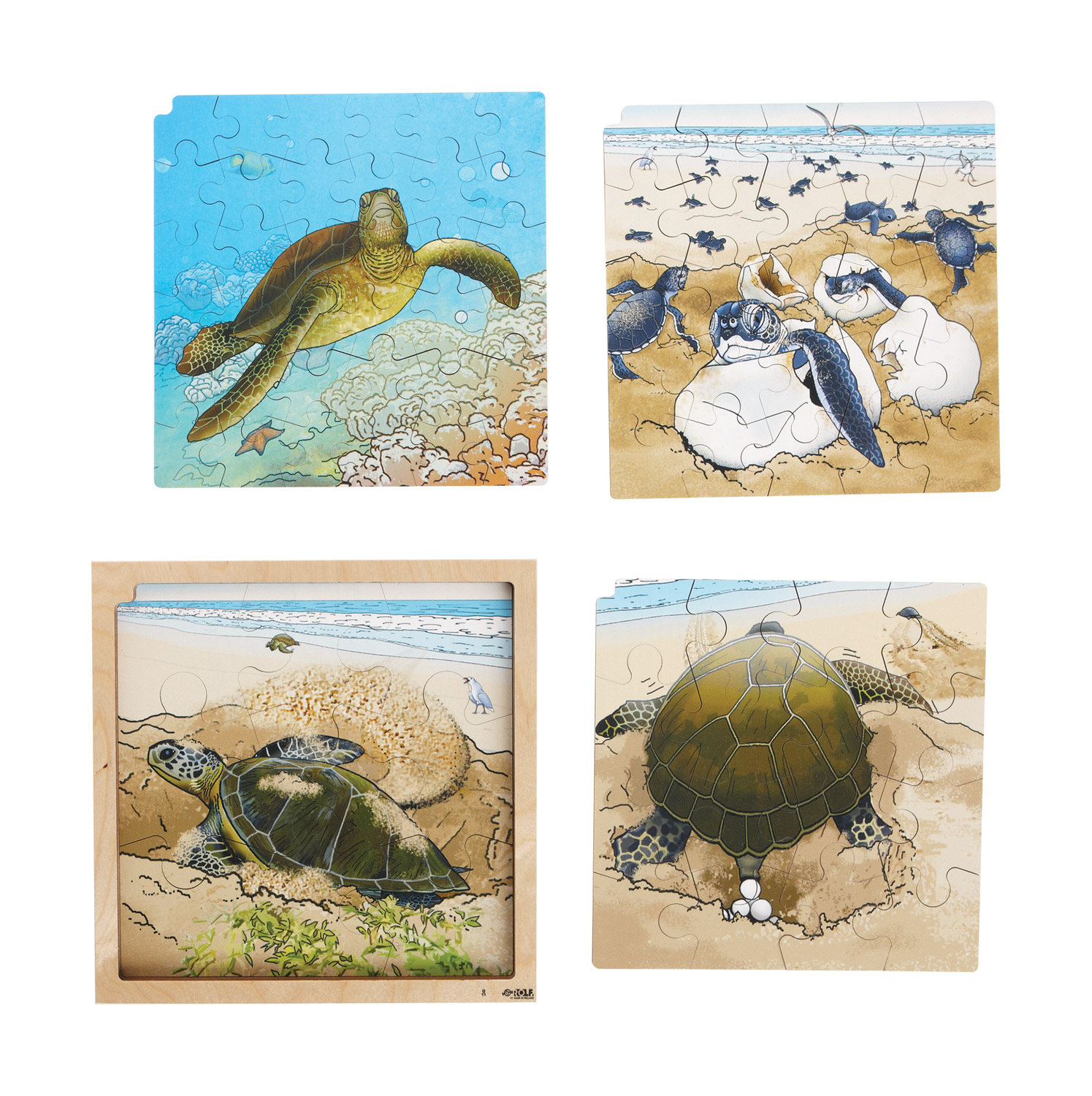 Lagenpuzzle Schildkröte