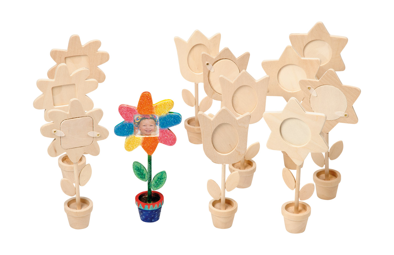 Topfblume mit Bildausschnitt